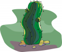 Cactus Clipart