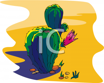 Cactus Clipart