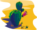Cactus Clipart