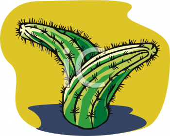 Cactus Clipart