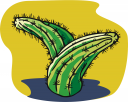 Cactus Clipart
