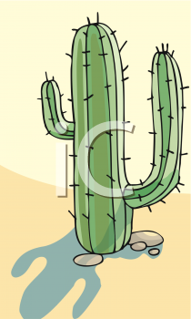 Cactus Clipart