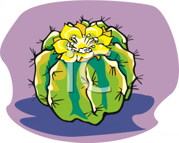 Cactus Clipart