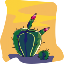 Cactus Clipart