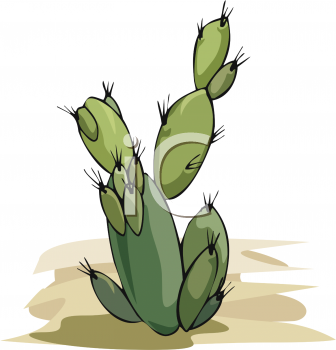 Cactus Clipart