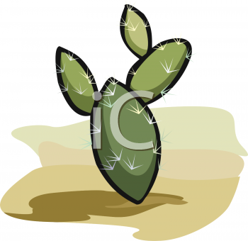 Cactus Clipart
