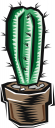 Cactus Clipart