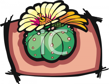 Cactus Clipart