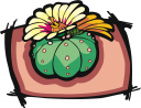 Cactus Clipart