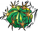 Cactus Clipart