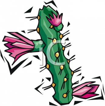 Cactus Clipart