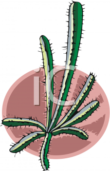 Cactus Clipart