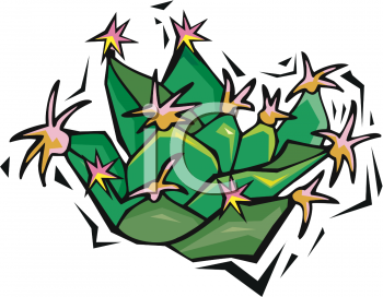 Cactus Clipart