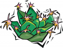 Cactus Clipart