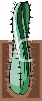 Cactus Clipart
