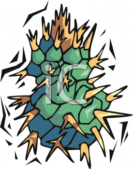 Cactus Clipart