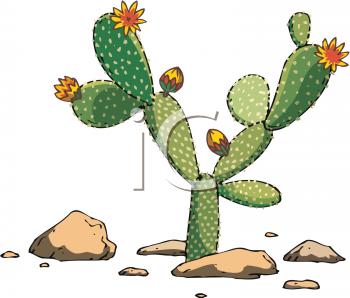Cactus Clipart