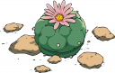 Cactus Clipart