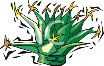 Cactus Clipart