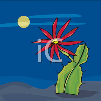 Cactus Clipart