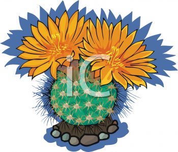 Royalty Free Cactus Clipart