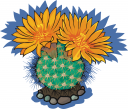 Cactus Clipart