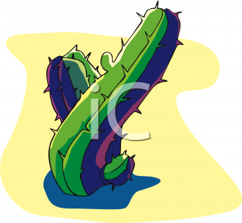Cactus Clipart