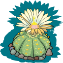 Cactus Clipart