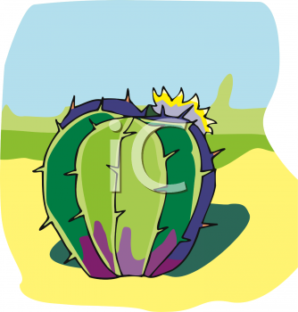 Cactus Clipart
