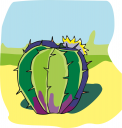 Cactus Clipart