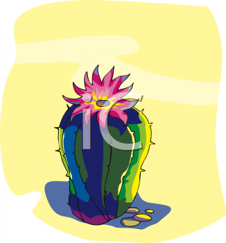 Cactus Clipart