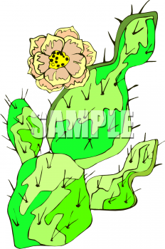 Cactus Clipart
