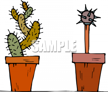 Cactus Clipart