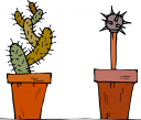 Cactus Clipart