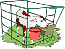 Calf Clipart
