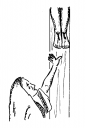 Crosses Clipart