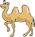 Camel Clipart