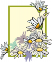 Daisy Clipart