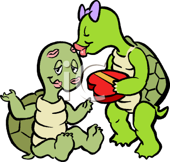 Turtle Clipart