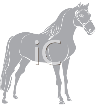 Horse Clipart
