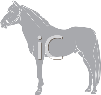 Horse Clipart