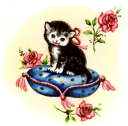 Cat Clipart