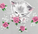Cat Clipart
