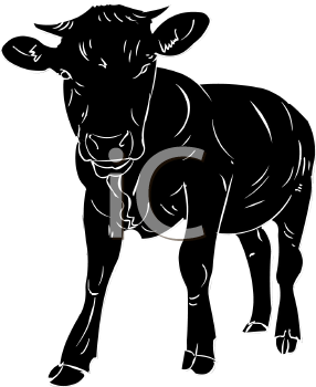 Mammal Clipart