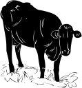 Mammal Clipart