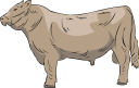 Mammal Clipart