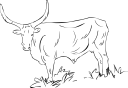 Mammal Clipart