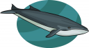 Whale Clipart