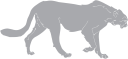 Cheetah Clipart