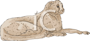 Cheetah Clipart